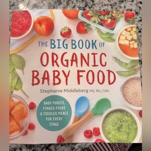 The Big Book of Organic Baby Food